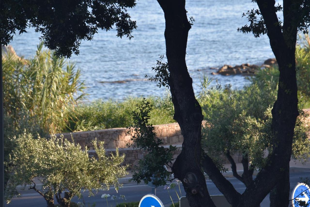 Apartment Briloc Ajaccio (Corsica)